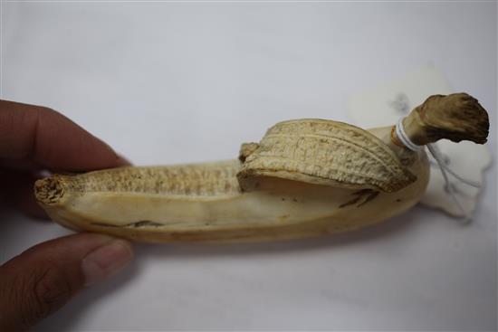 A Japanese ivory model of a partially peeled banana, early 20th century, 4.5cm, unsigned, re-glued section to tip